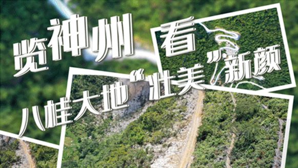 廣西：走好生態脫貧路 讓荒山披綠窮嶺生金