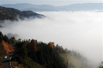 貴州從江現云海美景