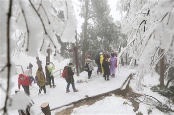 張家界迎降雪 景區銀裝素裹