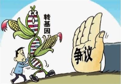 韓長賦：我國未批準任何一種轉基因糧食作物商業化種植