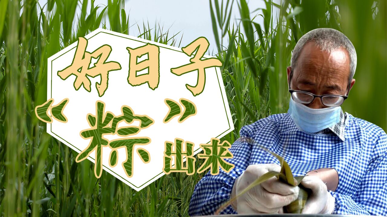 【脫貧印記】好日子 “粽”出來(lái)