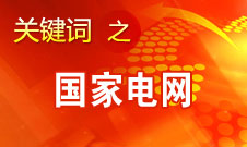 劉振亞：國家電網2020年前在國外投入300億-500億美元