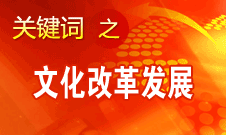 趙少華：文化改革發展在六方面邁上了新臺階