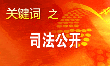 胡澤君：陽光是最好防腐劑 四方面推進司法公開