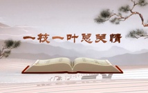 《平“語”近人——習近平總書記用典》（第一集）一枝一葉總關(guān)情