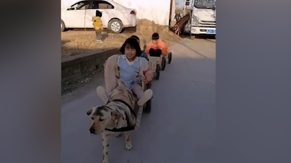 男子給孩子做縮小版小火車，家里的狗狗做動力拉著孩子上學