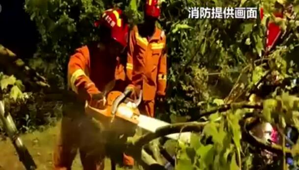 浙江金華：狂風暴雨來襲 消防人員化解多起險情