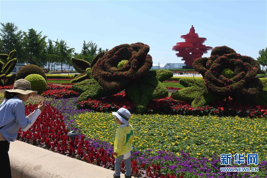 （上合青島峰會）（6）青島：花滿島城待賓朋  