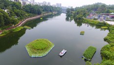 “生態浮島”凈水靚城